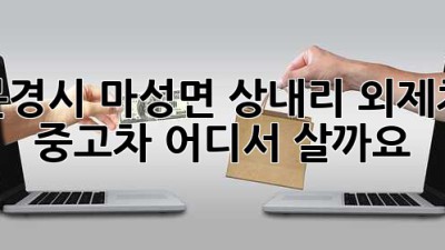 문경시 마성면 상내리 외제차 중고차, 어디서 살까요?